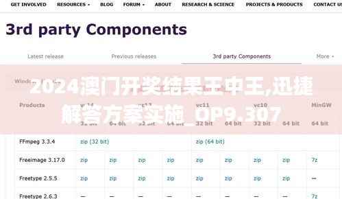 2024澳门开奖结果王中王,迅捷解答方案实施_OP9.307