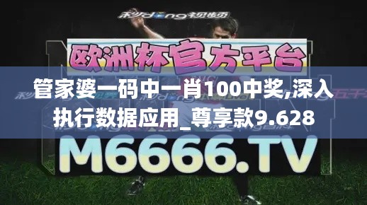 管家婆一码中一肖100中奖,深入执行数据应用_尊享款9.628