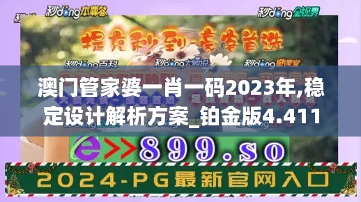 澳门管家婆一肖一码2023年,稳定设计解析方案_铂金版4.411