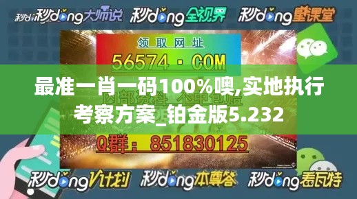 最准一肖一码100%噢,实地执行考察方案_铂金版5.232