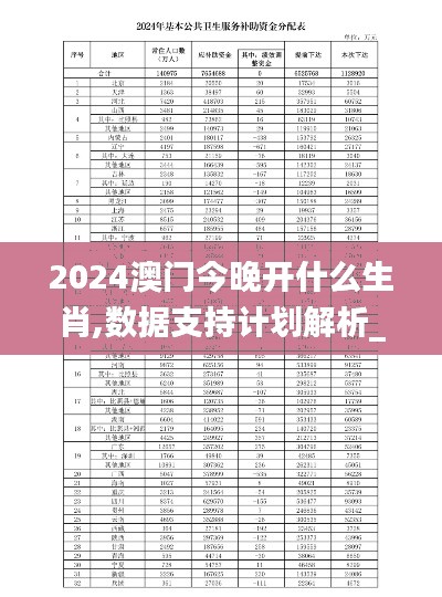 2024澳门今晚开什么生肖,数据支持计划解析_粉丝款7.765