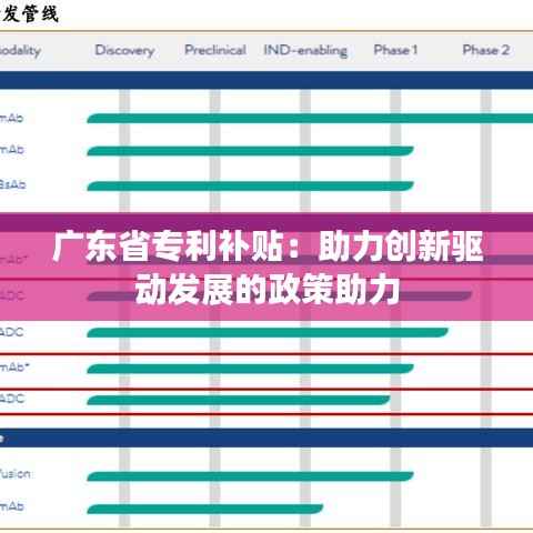广东省专利补贴:助力创新驱动发展的政策助力