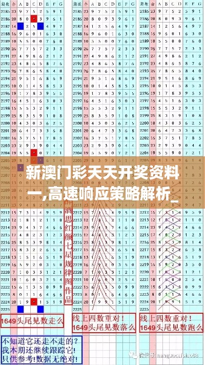 新澳门彩天天开奖资料一,高速响应策略解析_QHD3.746