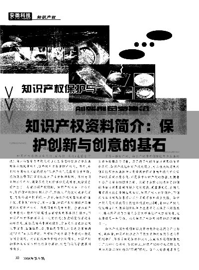 知识产权资料简介:保护创新与创意的基石
