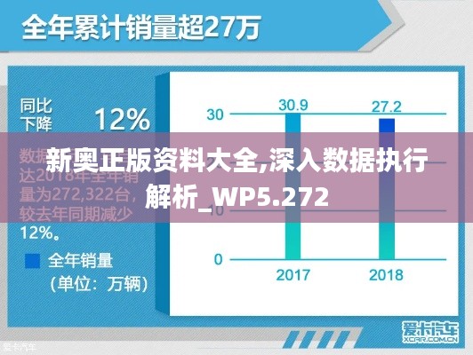新奥正版资料大全,深入数据执行解析_WP5.272