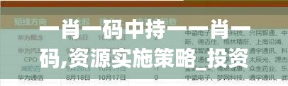 一肖一码中持一一肖一码,资源实施策略_投资版1.295