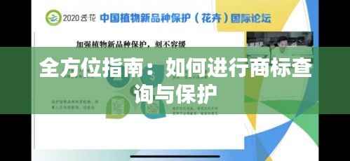 全方位指南:如何进行商标查询与保护