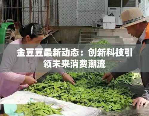 金豆豆最新动态:创新科技引领未来消费潮流