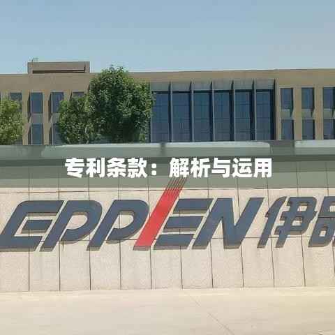 专利条款:解析与运用