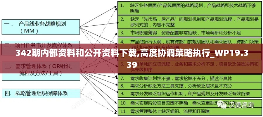 342期内部资料和公开资料下载,高度协调策略执行_WP19.339
