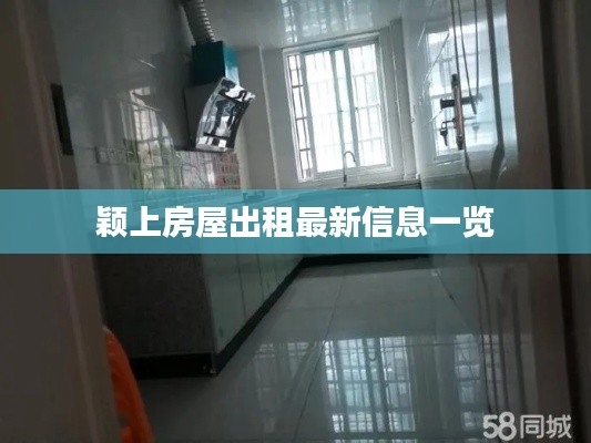 颖上房屋出租最新信息一览