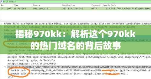 揭秘970kk:解析这个970kk的热门域名的背后故事