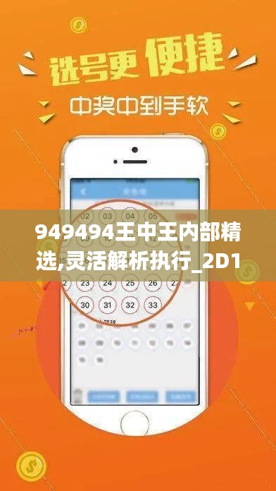 949494王中王内部精选,灵活解析执行_2D1.591