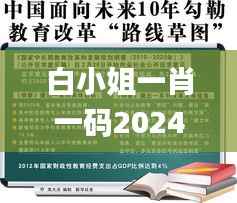 白小姐一肖一码2024年,专家意见解释定义_SHD10.163