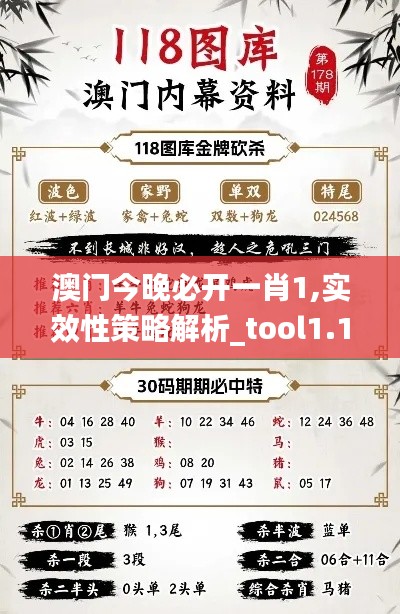 澳门今晚必开一肖1,实效性策略解析_tool1.143