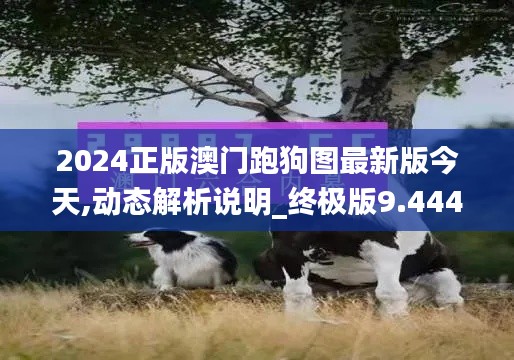 2024正版澳门跑狗图最新版今天,动态解析说明_终极版9.444