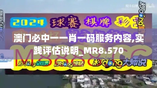 澳门必中一一肖一码服务内容,实践评估说明_MR8.570