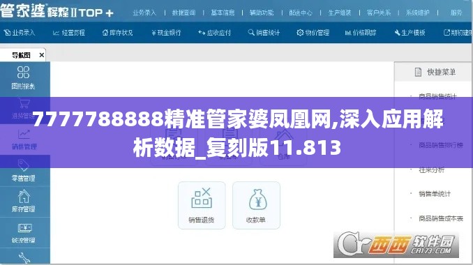 7777788888精准管家婆凤凰网,深入应用解析数据_复刻版11.813