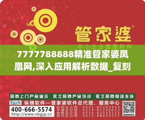7777788888精准管家婆凤凰网,深入应用解析数据_复刻版11.813