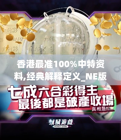 香港最准100%中特资料,经典解释定义_NE版4.647