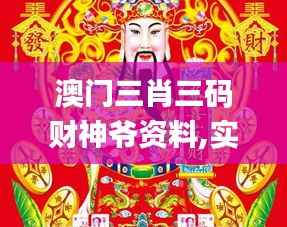 澳门三肖三码财神爷资料,实践案例解析说明_专业版6.148