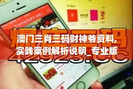 澳门三肖三码财神爷资料,实践案例解析说明_专业版6.148
