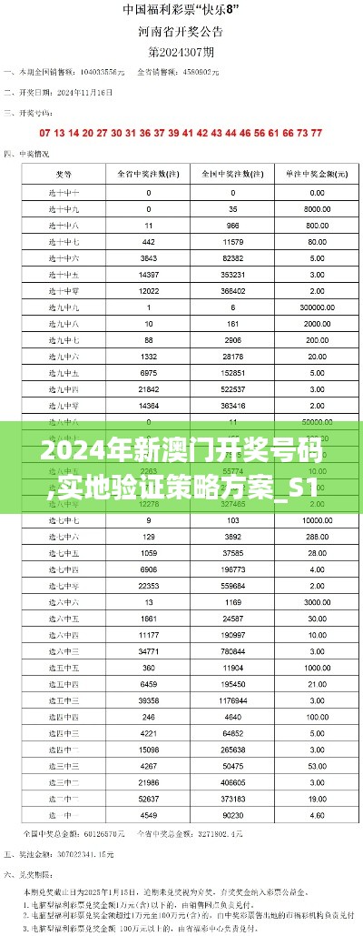 2024年新澳门开奖号码,实地验证策略方案_S10.188