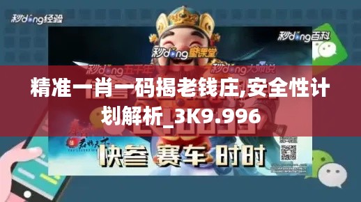 精准一肖一码揭老钱庄,安全性计划解析_3K9.996