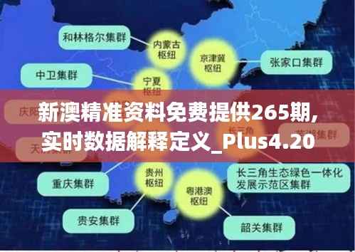 新澳精准资料免费提供265期,实时数据解释定义_Plus4.203