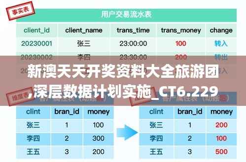 新澳天天开奖资料大全旅游团,深层数据计划实施_CT6.229