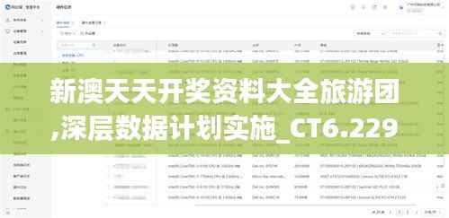 新澳天天开奖资料大全旅游团,深层数据计划实施_CT6.229