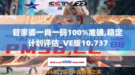 管家婆一肖一码100%准确,稳定计划评估_VE版10.737