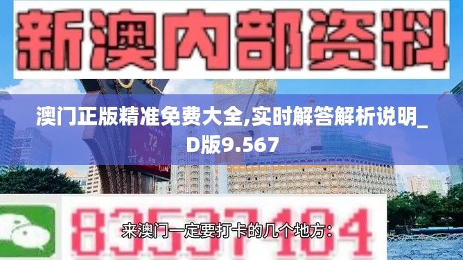 澳门正版精准免费大全,实时解答解析说明_D版9.567