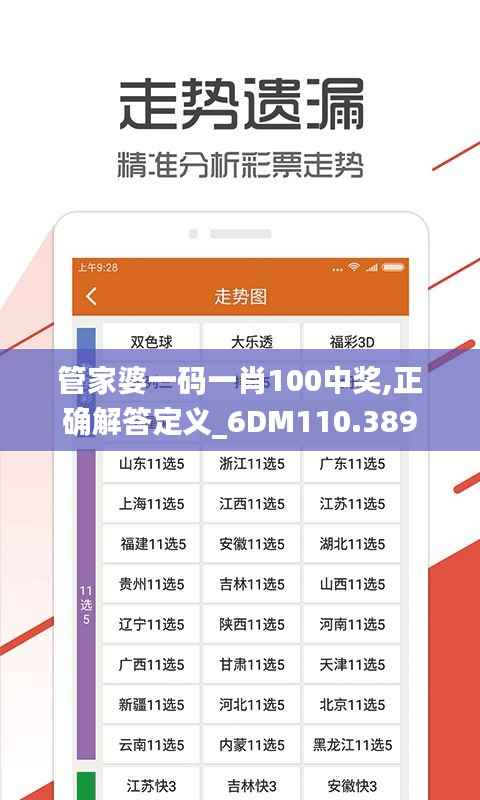 管家婆一码一肖100中奖,正确解答定义_6DM110.389
