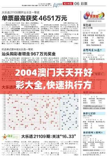 2004澳门天天开好彩大全,快速执行方案解答_复古版9.272