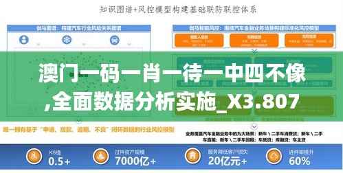 澳门一码一肖一待一中四不像,全面数据分析实施_X3.807