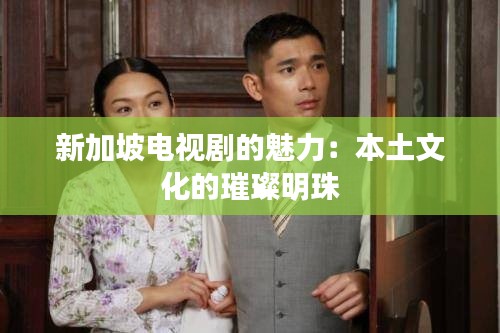 新加坡电视剧的魅力:本土文化的璀璨明珠