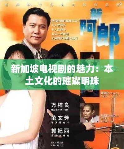 新加坡电视剧的魅力:本土文化的璀璨明珠