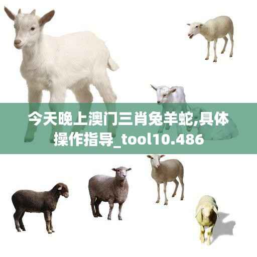 今天晚上澳门三肖兔羊蛇,具体操作指导_tool10.486