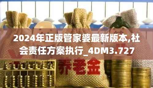 2024年正版管家婆最新版本,社会责任方案执行_4DM3.727
