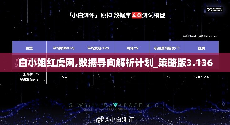 白小姐红虎网,数据导向解析计划_策略版3.136