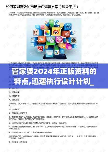 管家婆2O24年正版资料的特点,迅速执行设计计划_创意版110.437