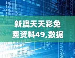新澳天天彩免费资料49,数据整合策略解析_体验版6.599