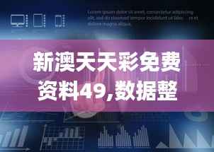 新澳天天彩免费资料49,数据整合策略解析_体验版6.599