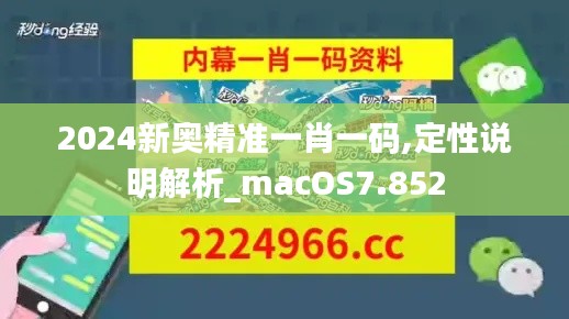 2024新奥精准一肖一码,定性说明解析_macOS7.852