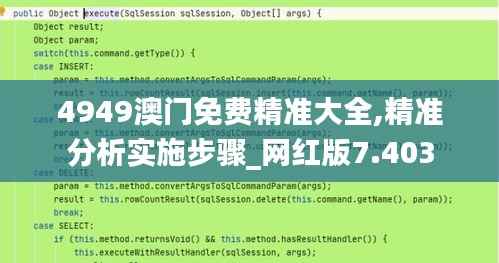 4949澳门免费精准大全,精准分析实施步骤_网红版7.403