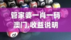 管家婆一肖一码澳门,收益说明解析_运动版5.946