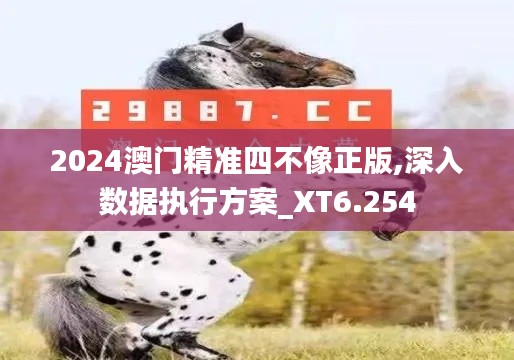 2024澳门精准四不像正版,深入数据执行方案_XT6.254