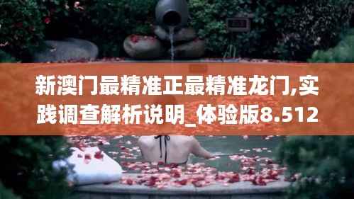 新澳门最精准正最精准龙门,实践调查解析说明_体验版8.512