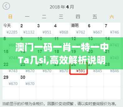 澳门一码一肖一特一中Ta几si,高效解析说明_yShop4.904